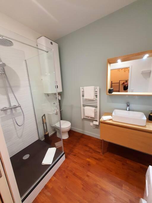 T2 Calme Vieux Tours Basilique Apartment Exterior photo